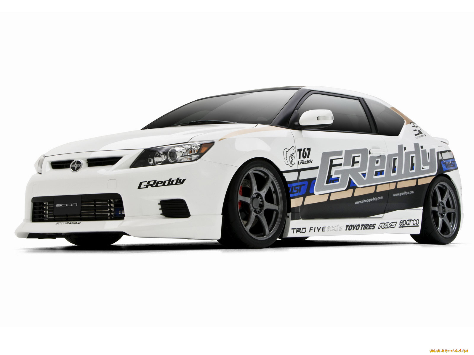 , scion